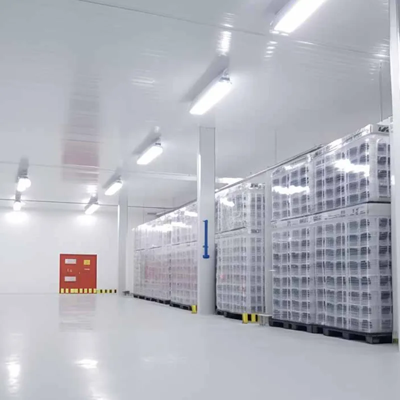 Cold Storage